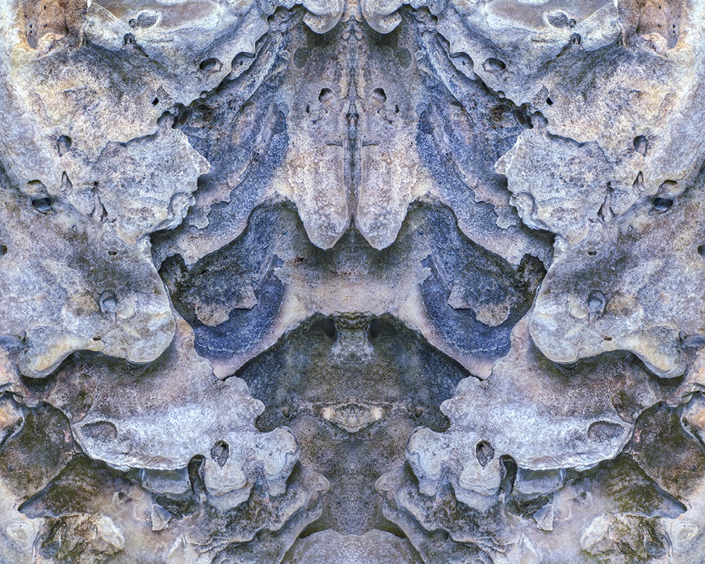 Cranial Oyster