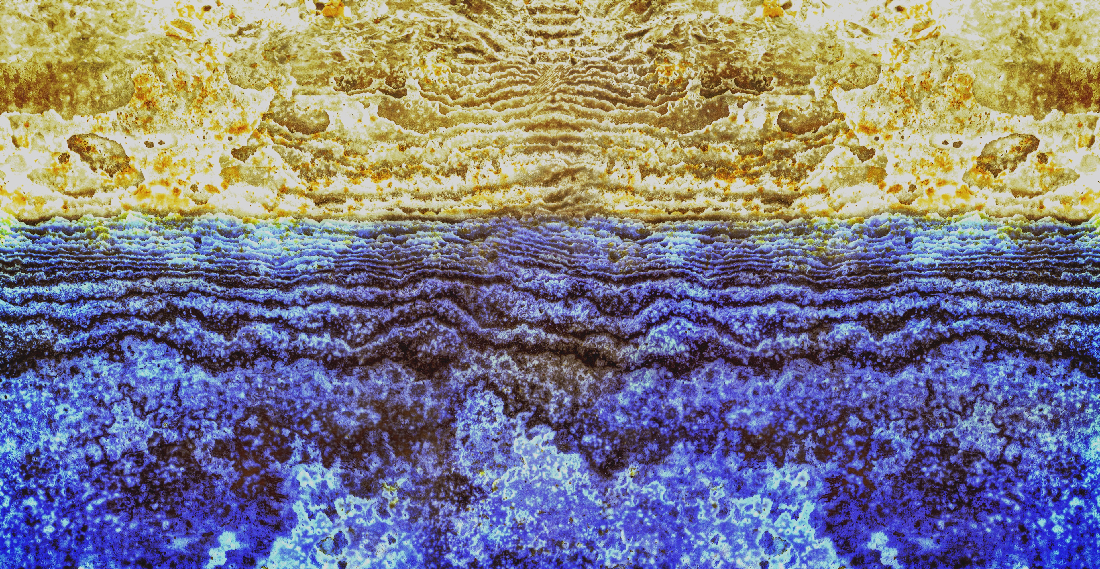 Sea-Shore-Sea-Shell