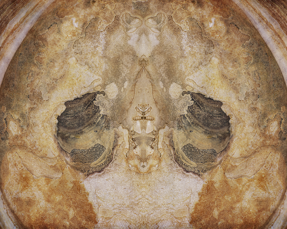 Oyster Inner Crust Reflection